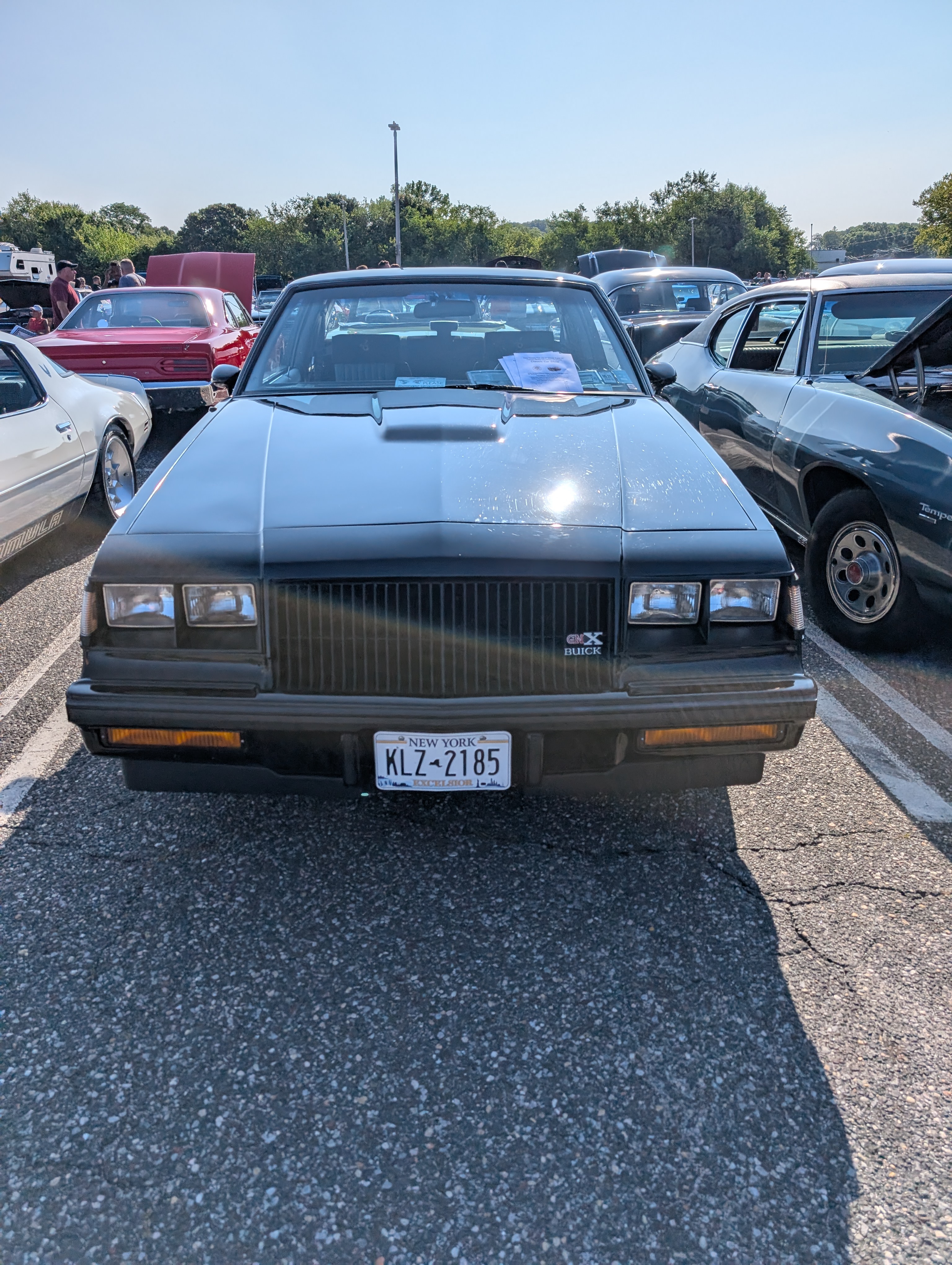 1000011452.jpg