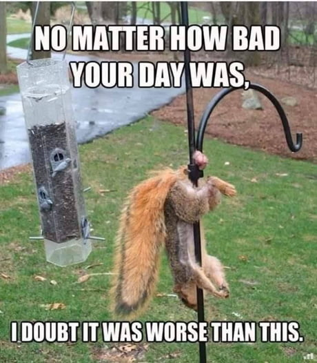 1653671197867.png