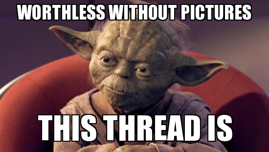 1753839395784.png