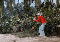 200w.gif