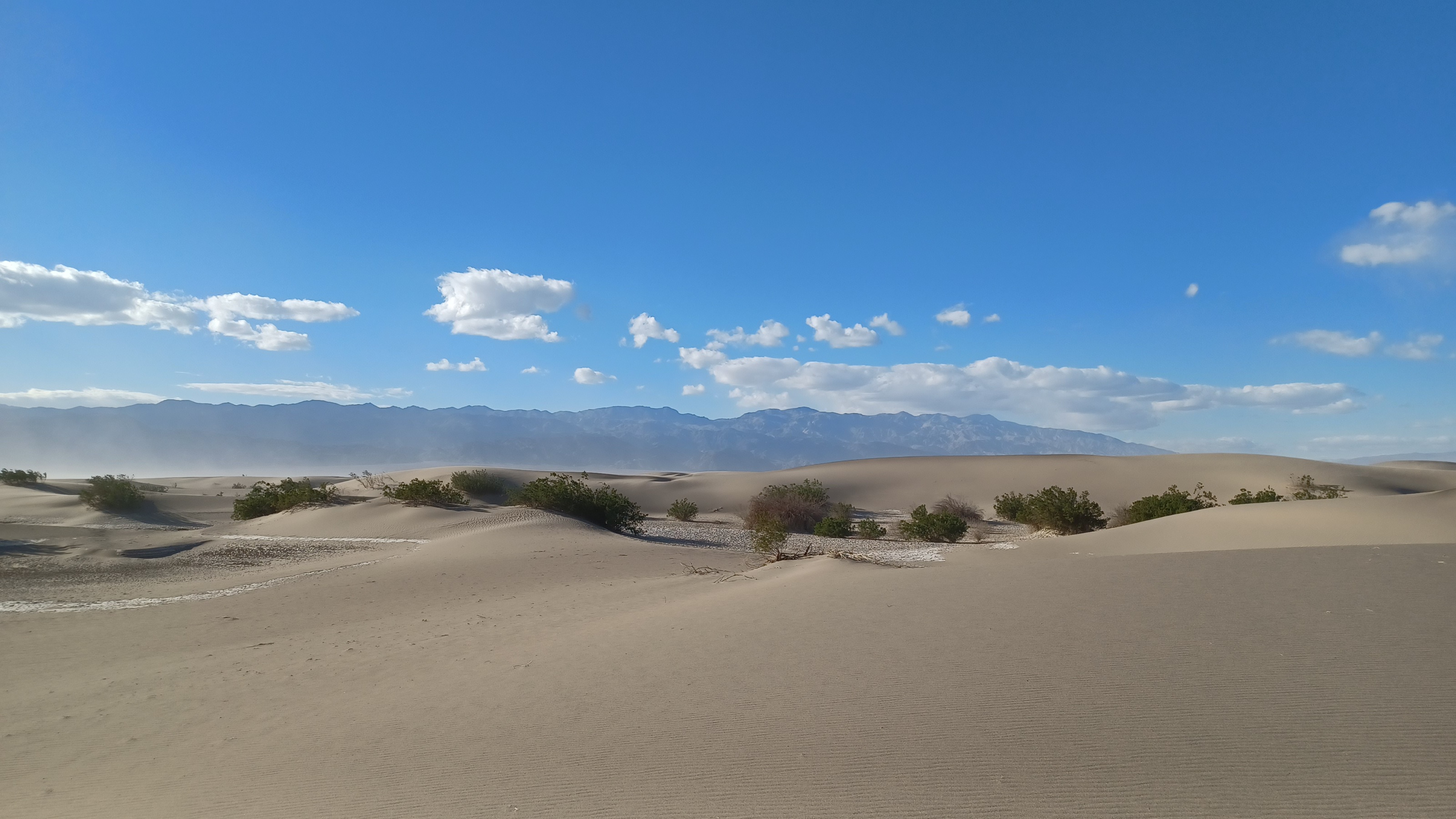 20221103_154020.jpg