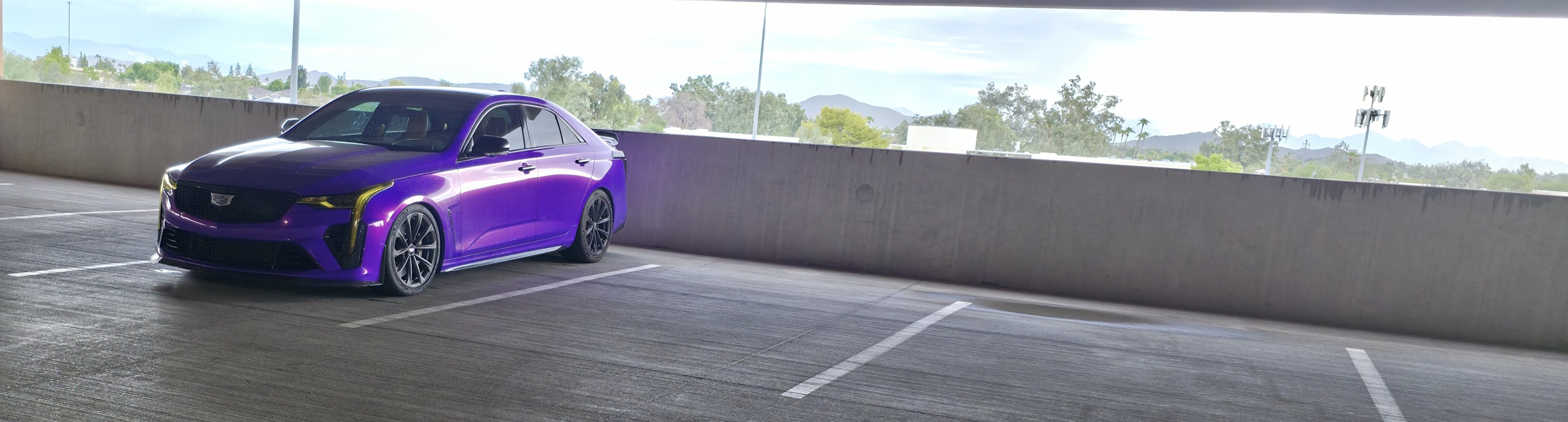 20250919_083524[1].jpg