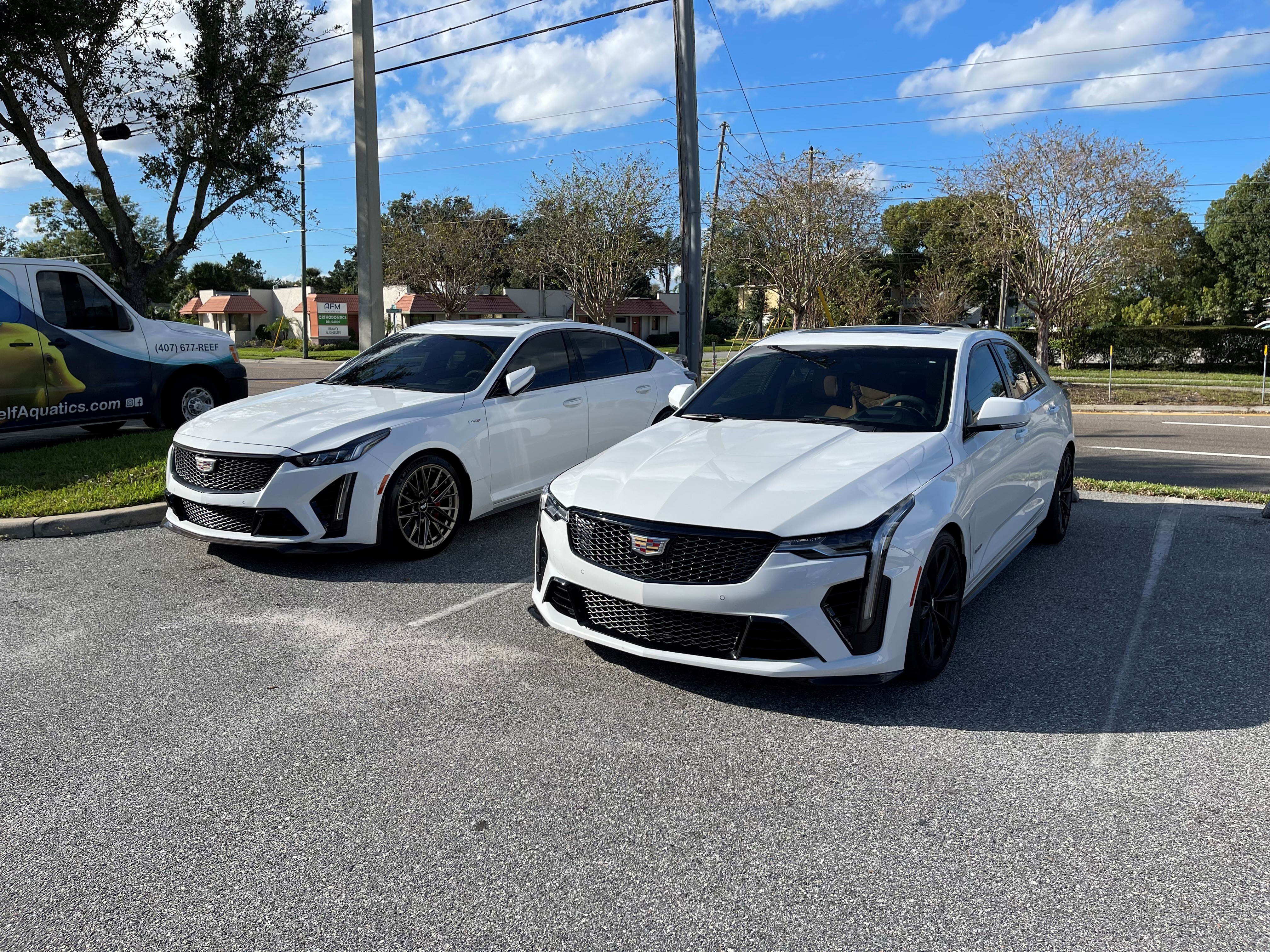 4 and 5 bw.jpg