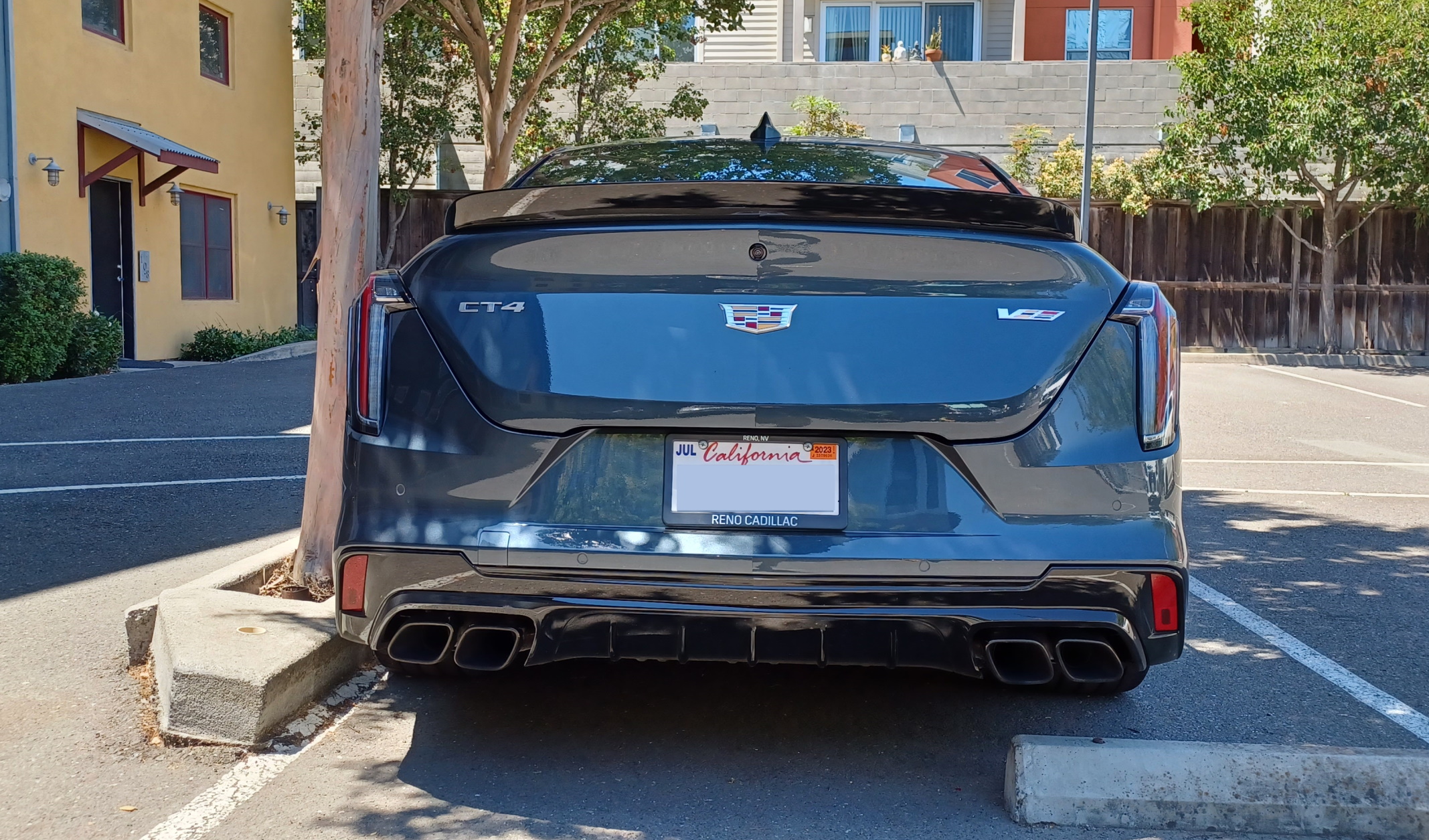 4BW_ArseEndRegPlate.jpg