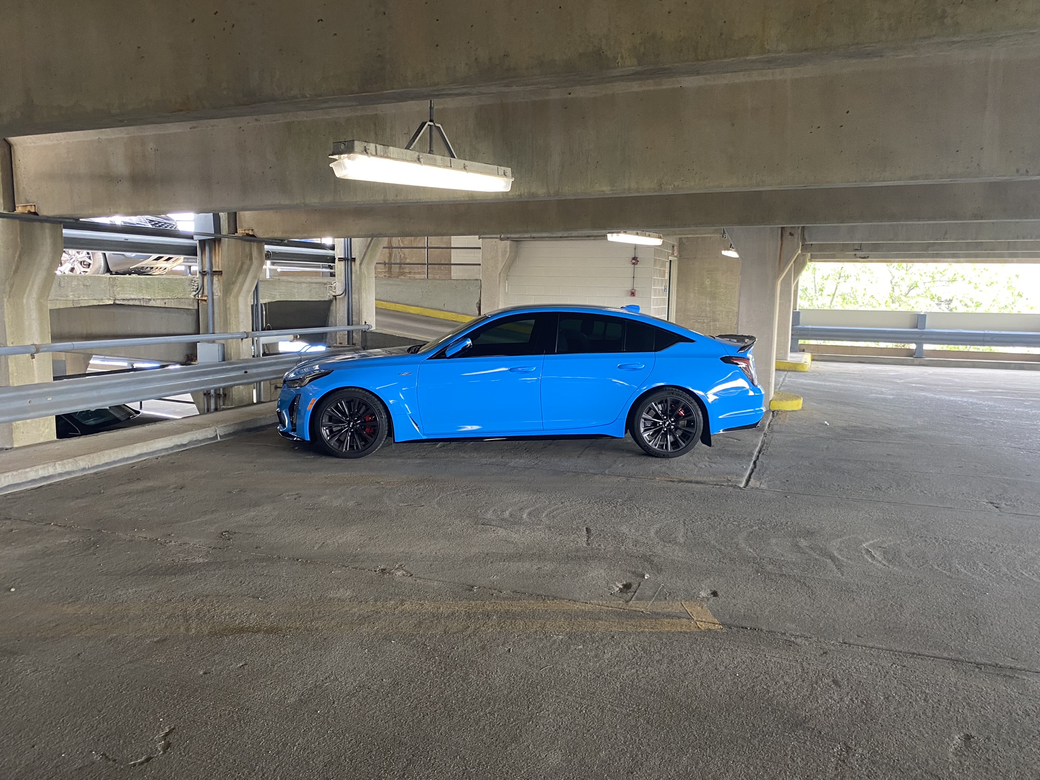 930025F7-BE66-461C-9AB3-279D71DE47DF.jpeg