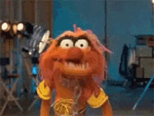 animal-muppets.gif
