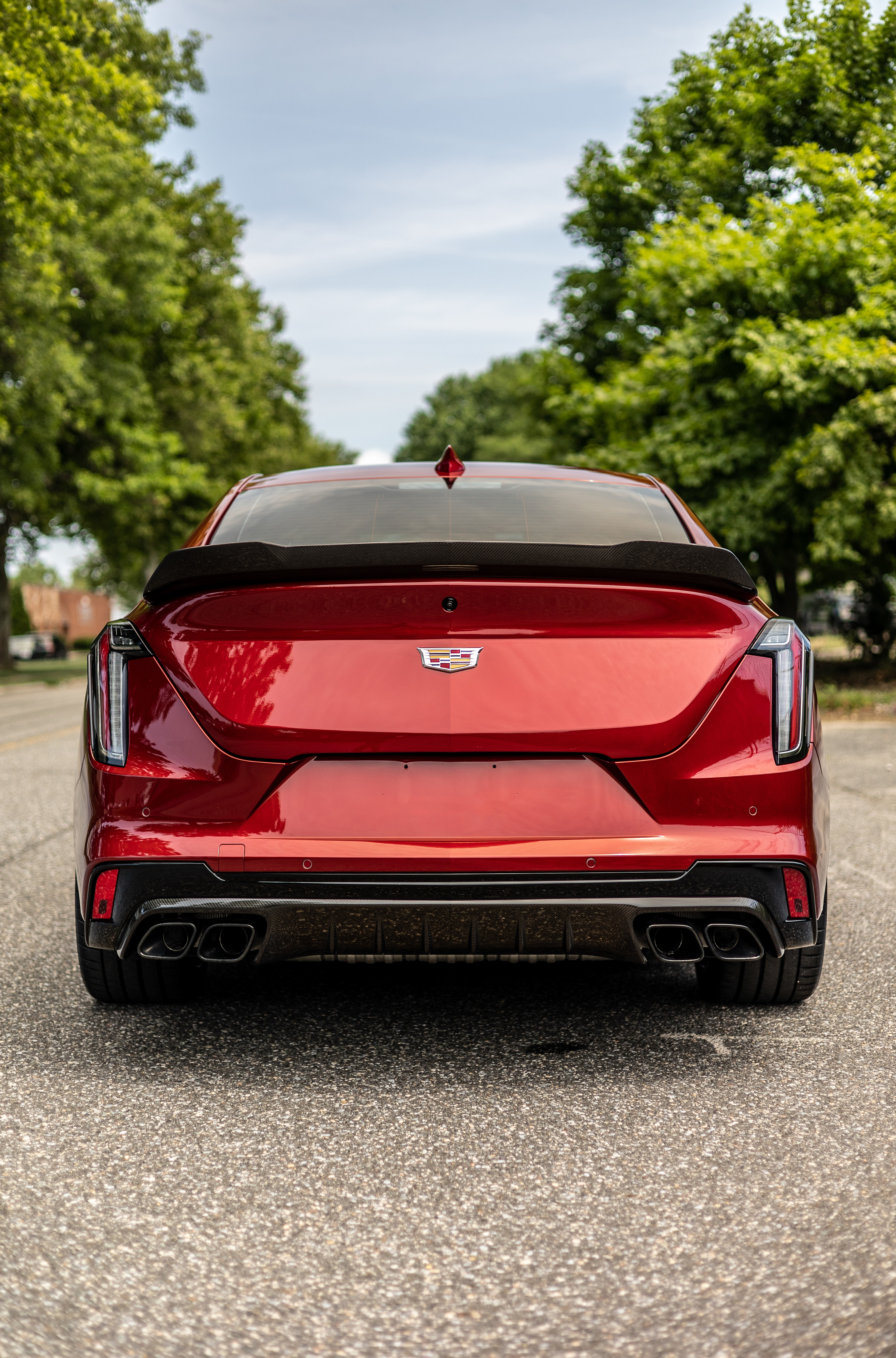 Blackwing Rear View.jpg