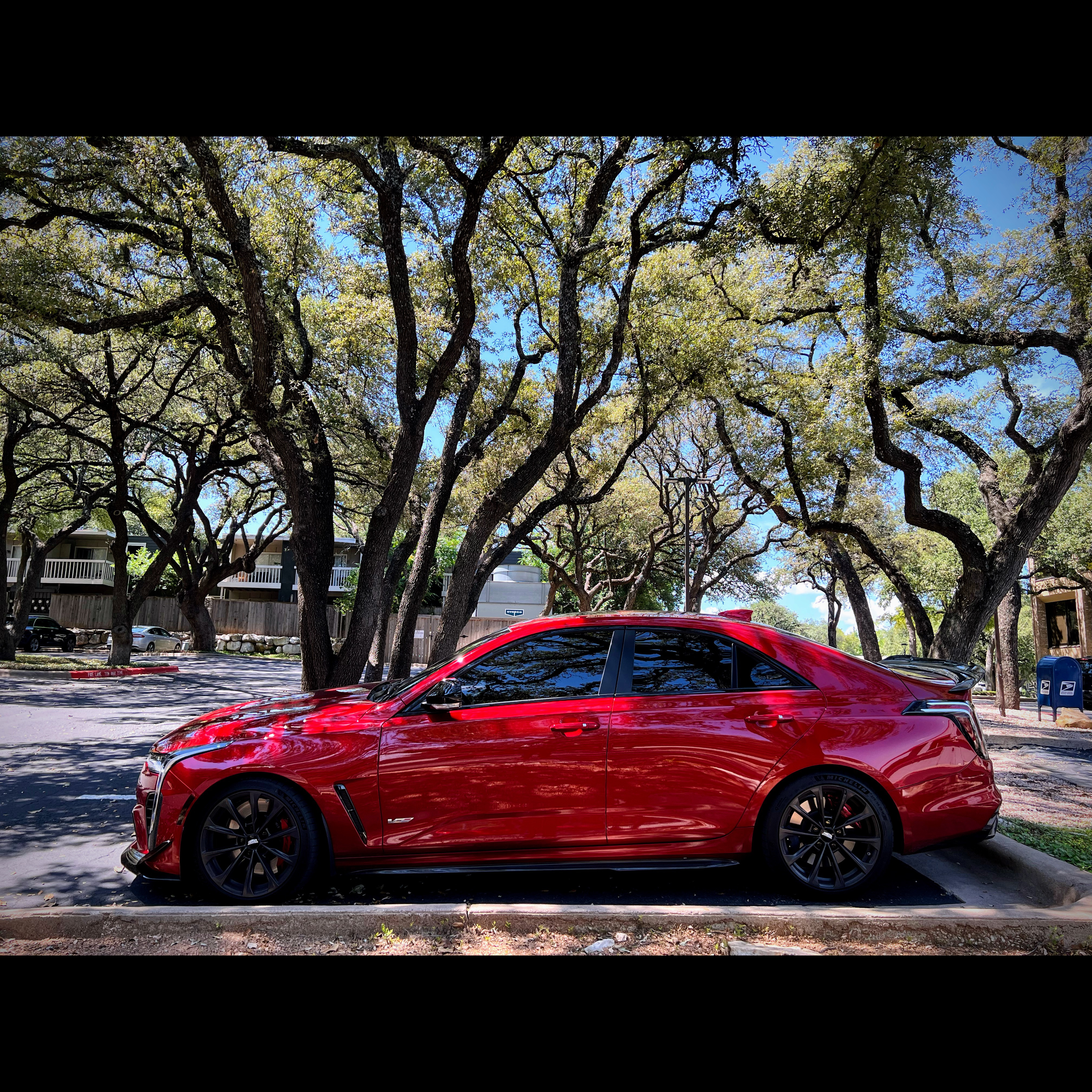 C7D31DCB-3542-4CAA-9DF6-815EE997CEB7.jpeg