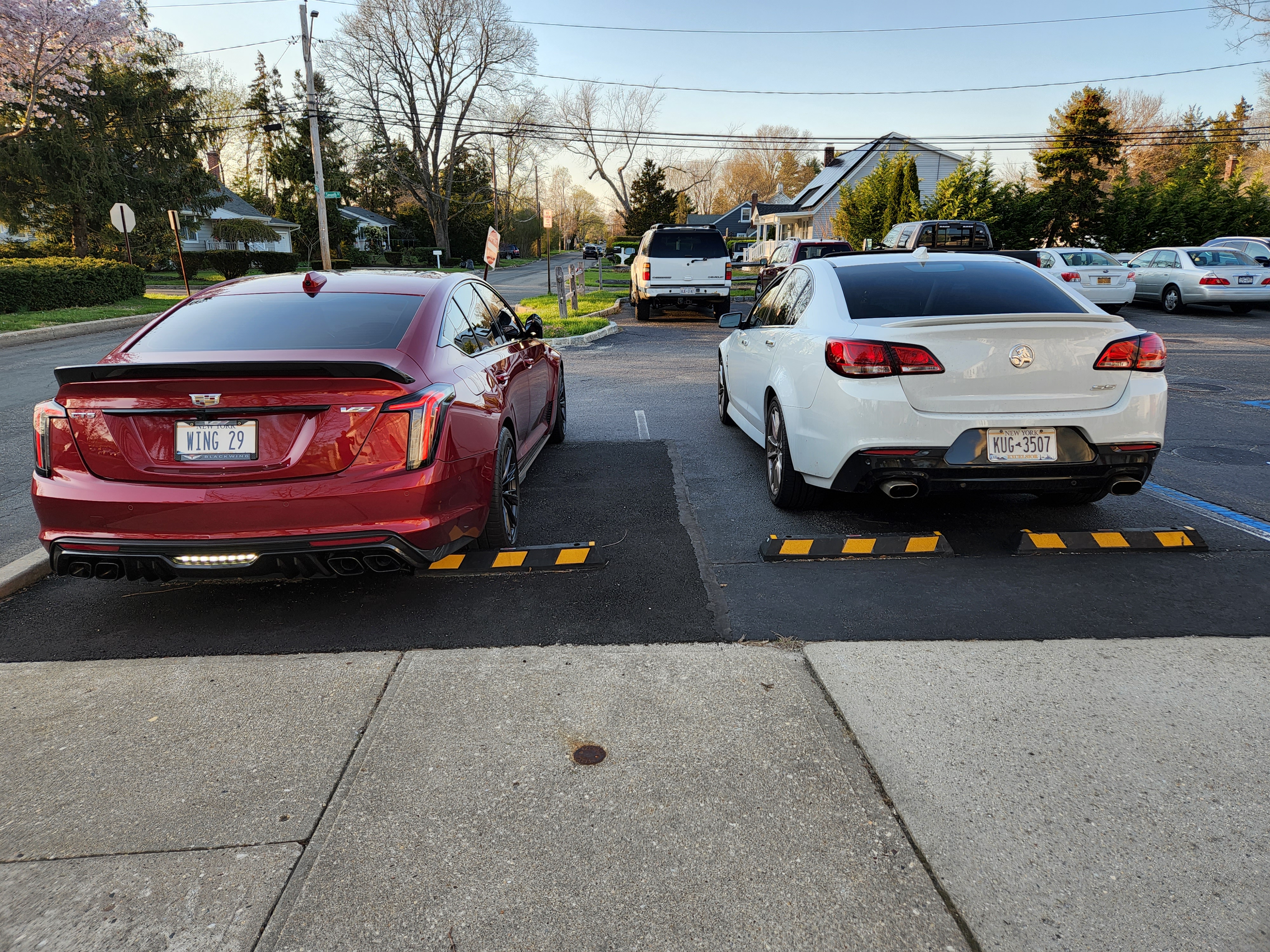 Cars.jpg
