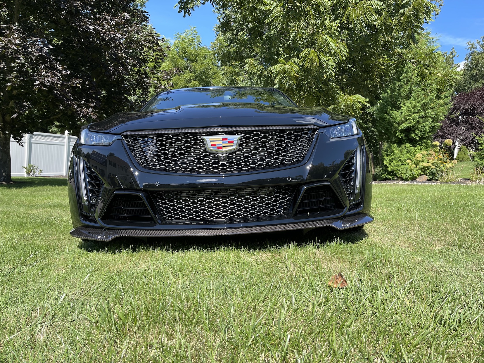 Front.jpg