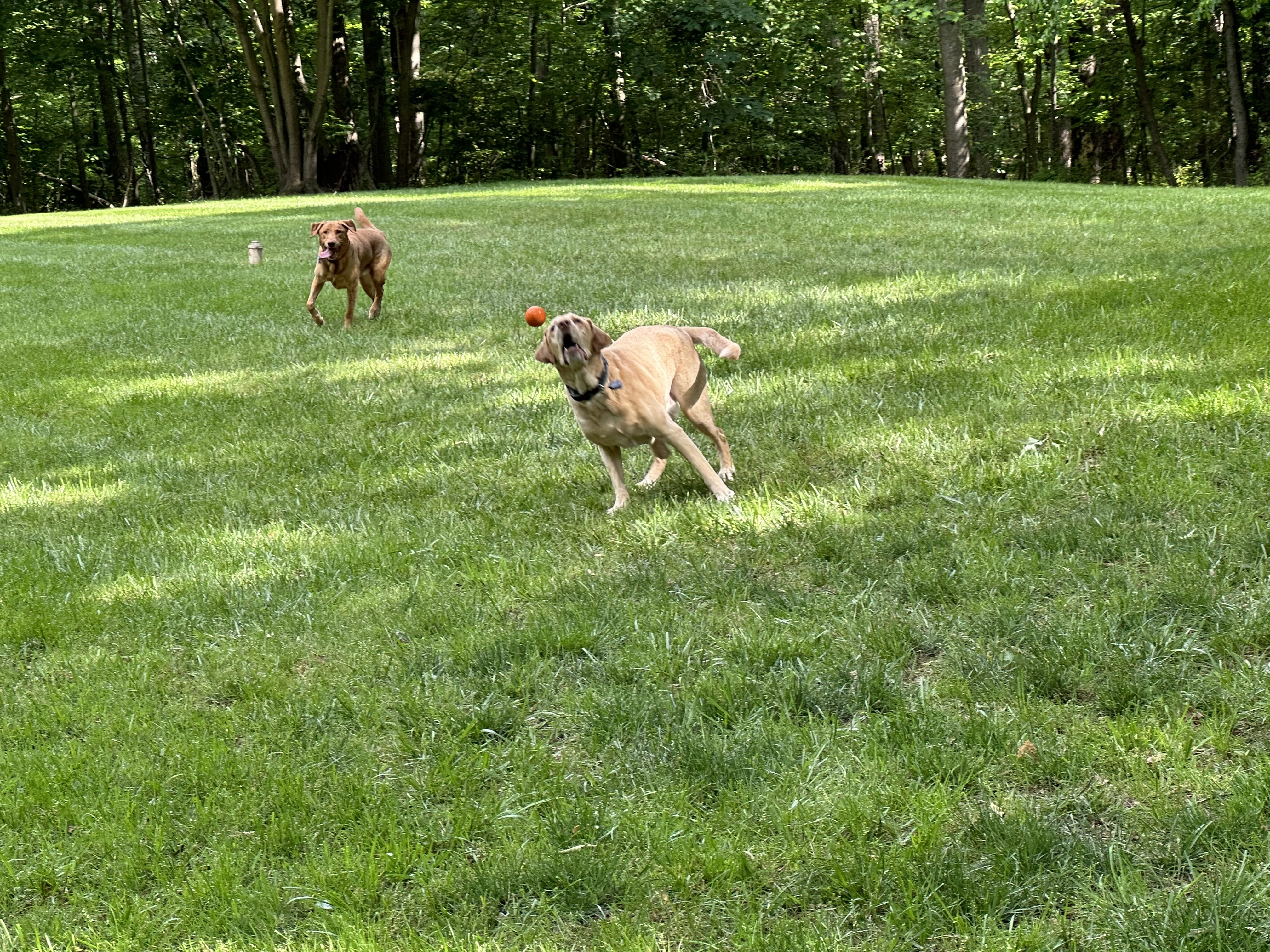 IMG_1644.jpeg