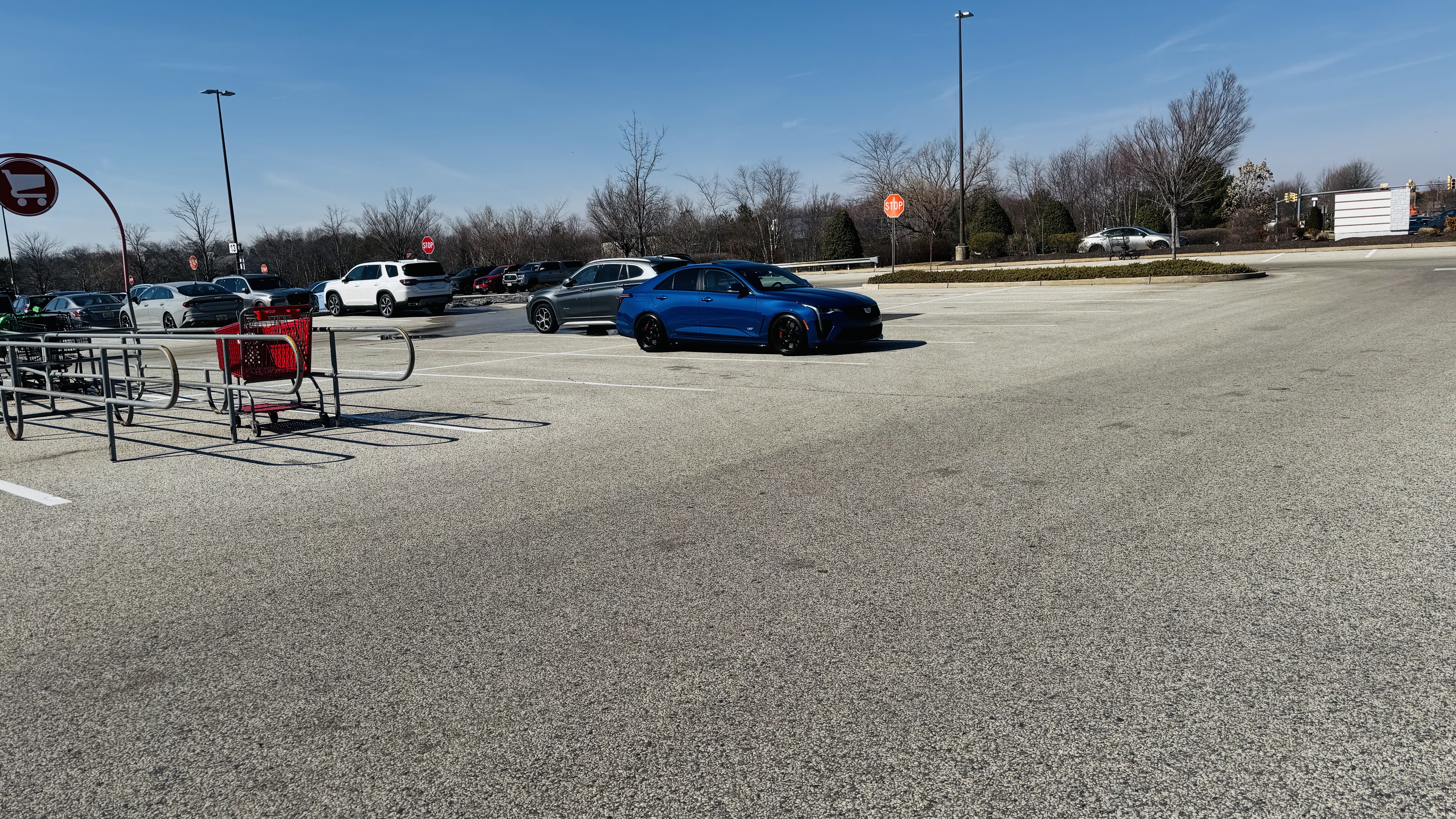 IMG_3226.jpeg