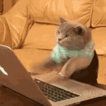IMG_5287.gif