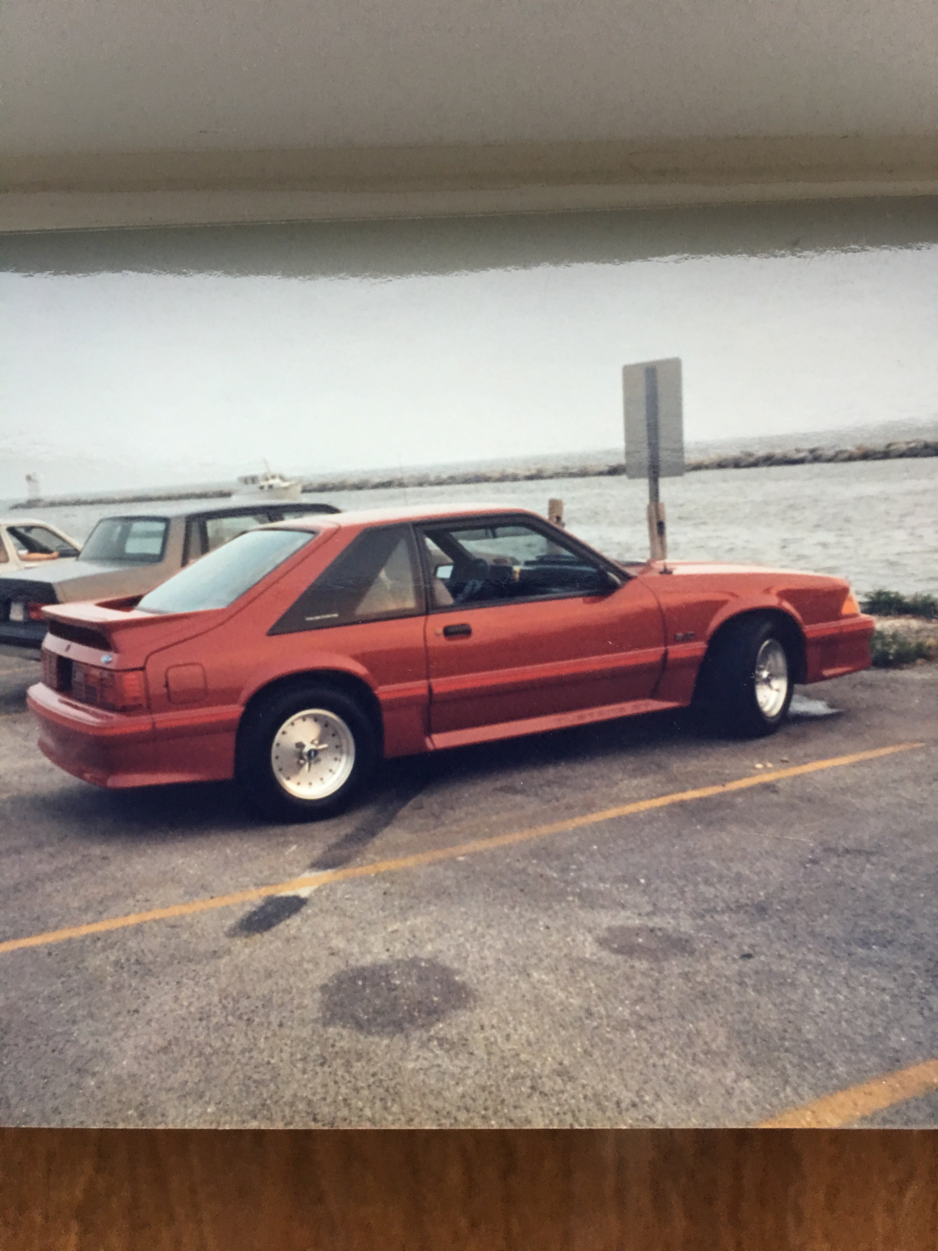 IMG_5894.jpeg