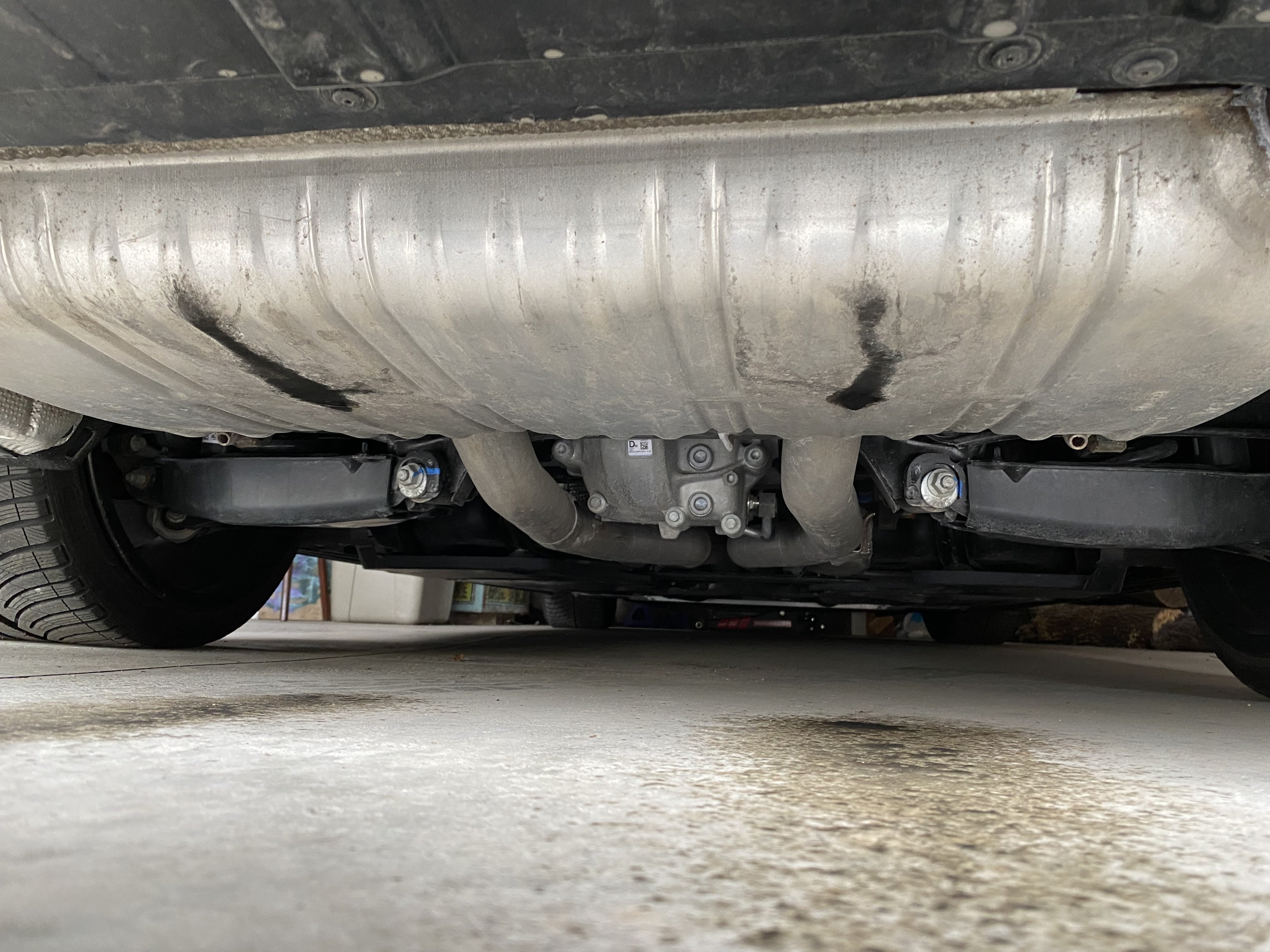 IMG_8835.jpeg