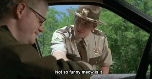 meow-super-troopers.gif