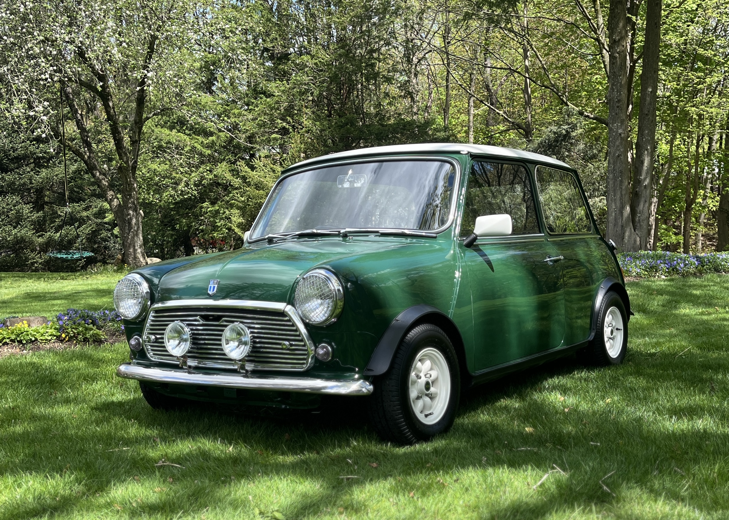 MINI_1000.jpg