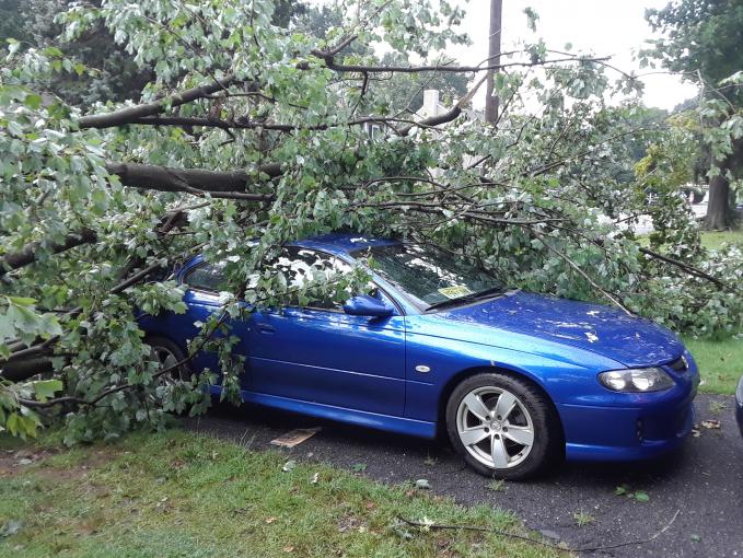 monaro1.jpg