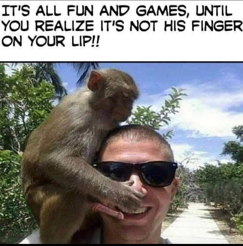 Monkey.JPG