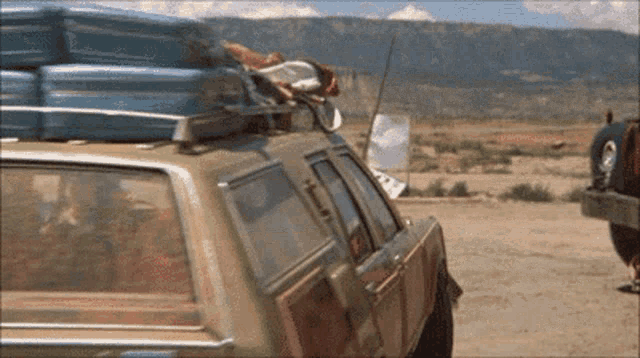 nationallampoonsvacation-clarkgriswold.gif