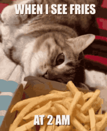 potato-fries.gif
