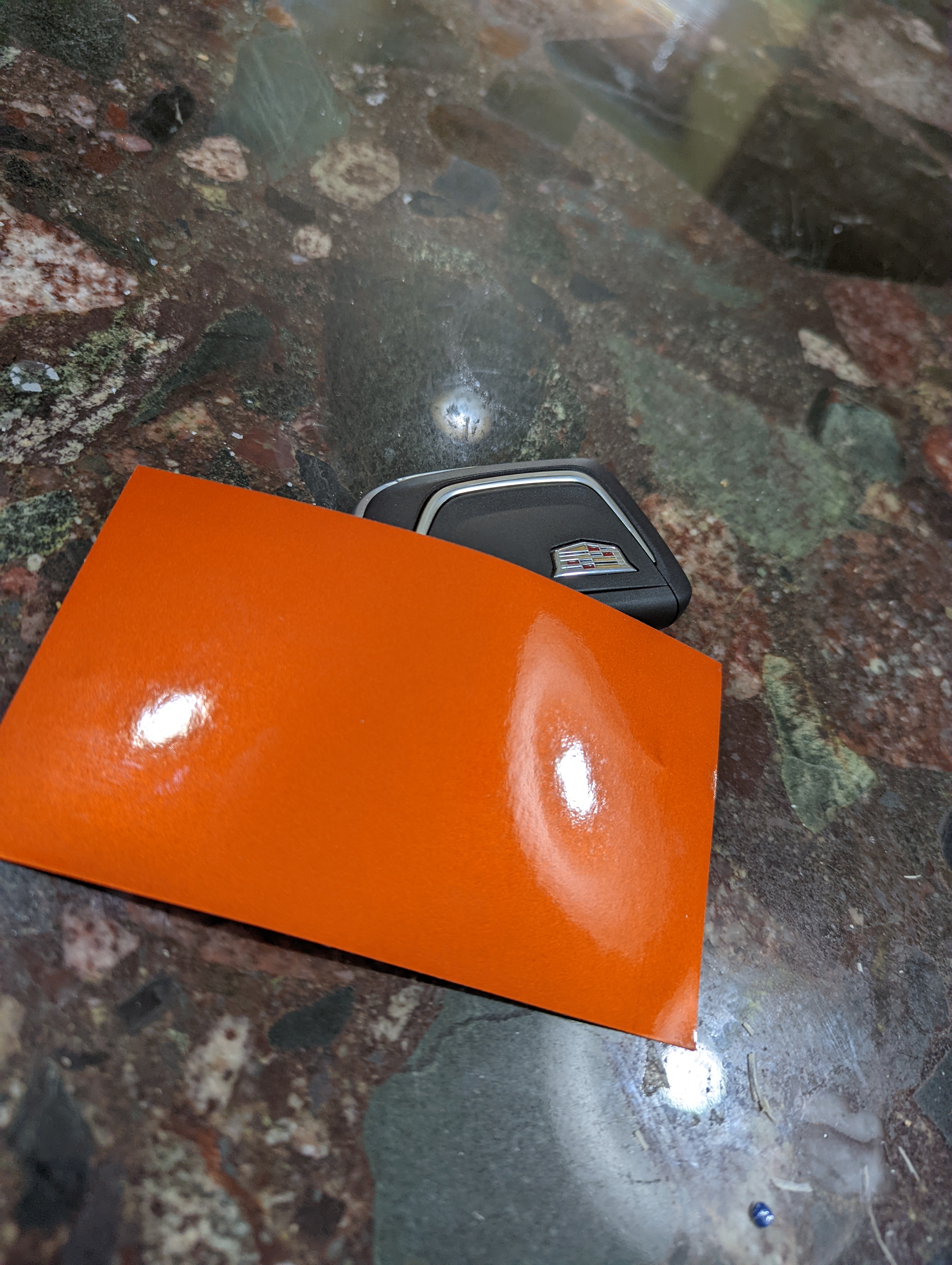PXL_20220219_210214176.jpg