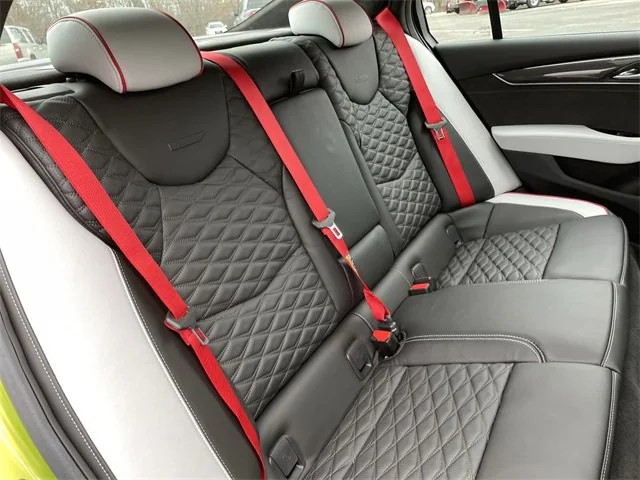 redseatbelt.jpg