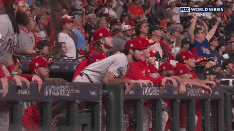 ResizedP_57afe89f-c734-4d6a-8d42-0eda13609540_98032830556455.gif