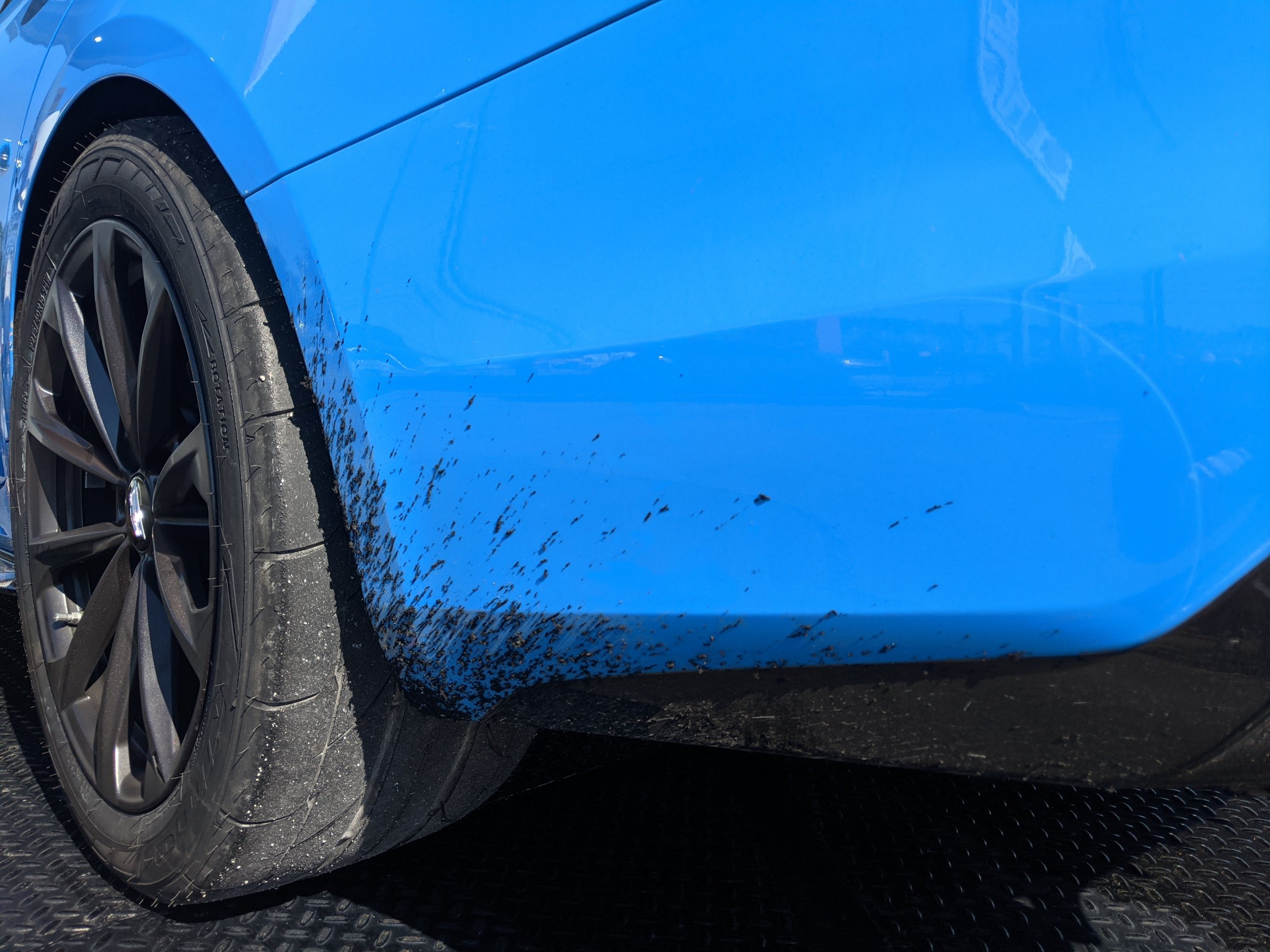 Rubber on fender.jpg