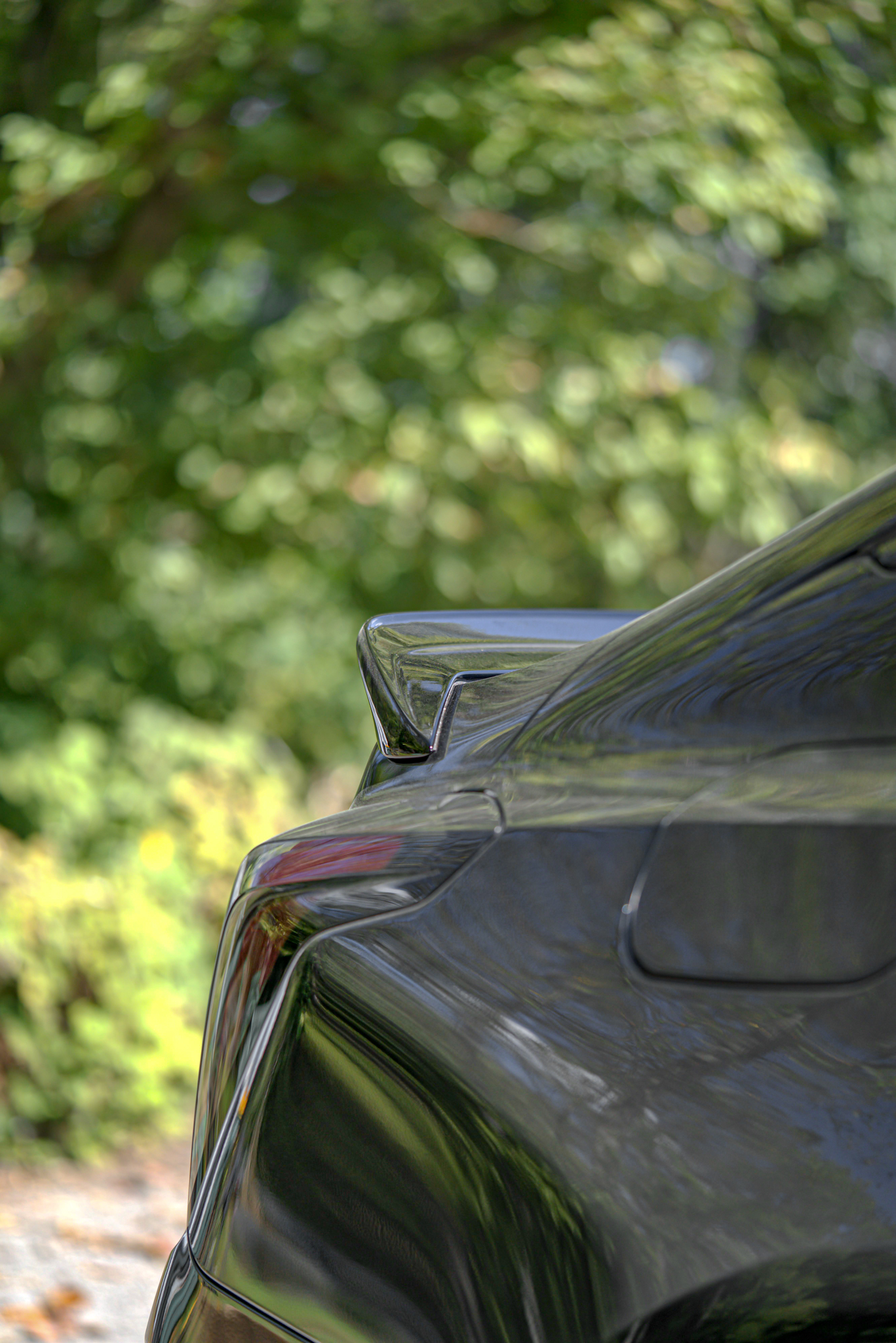SV303S Blackwing Brushed Triple Black Tinted-17.jpg