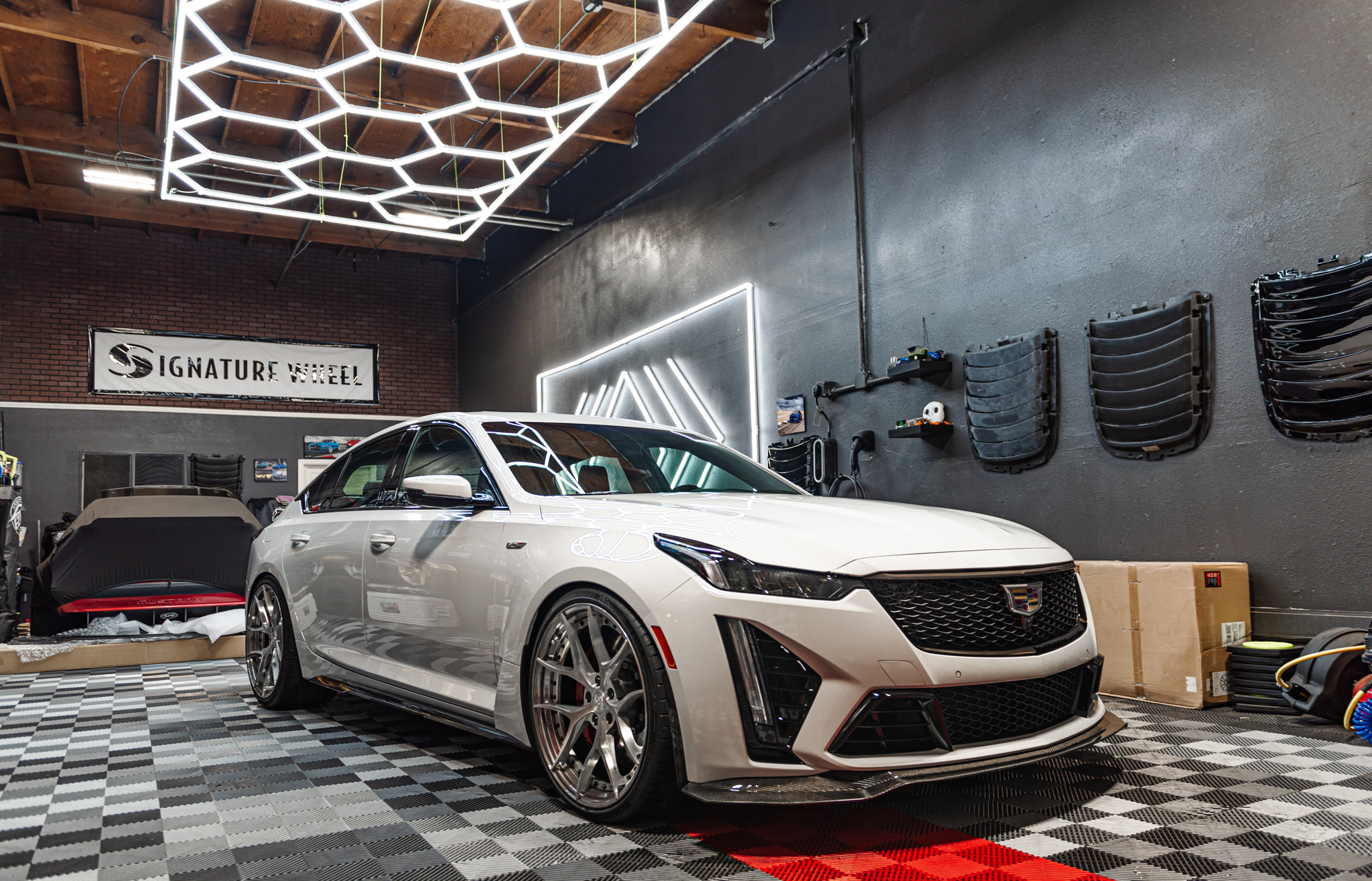SV304S Blackwing  Lowered-20.jpg