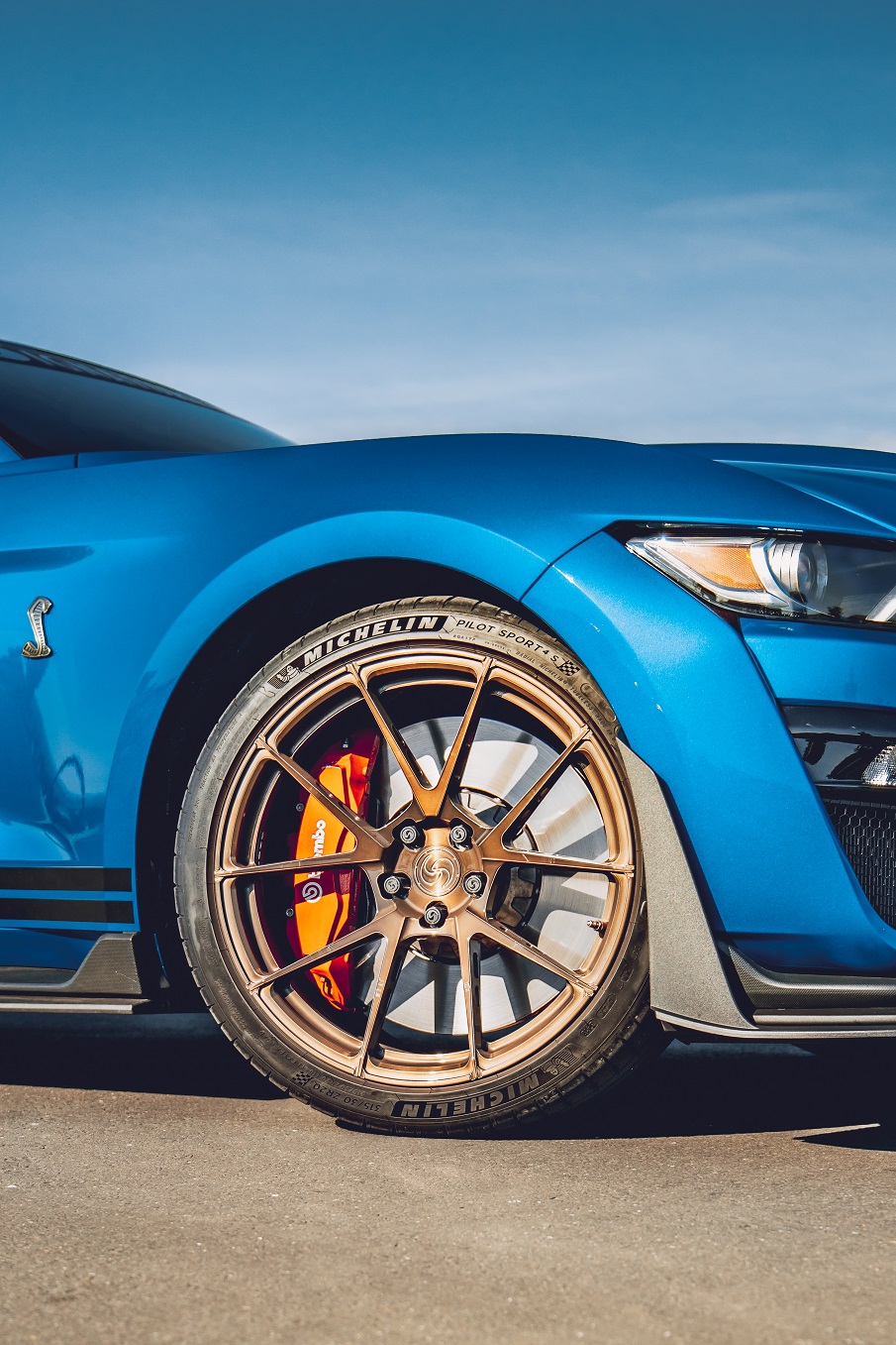 SV801 GT500 Brushed Bronze Tinted (12).jpg