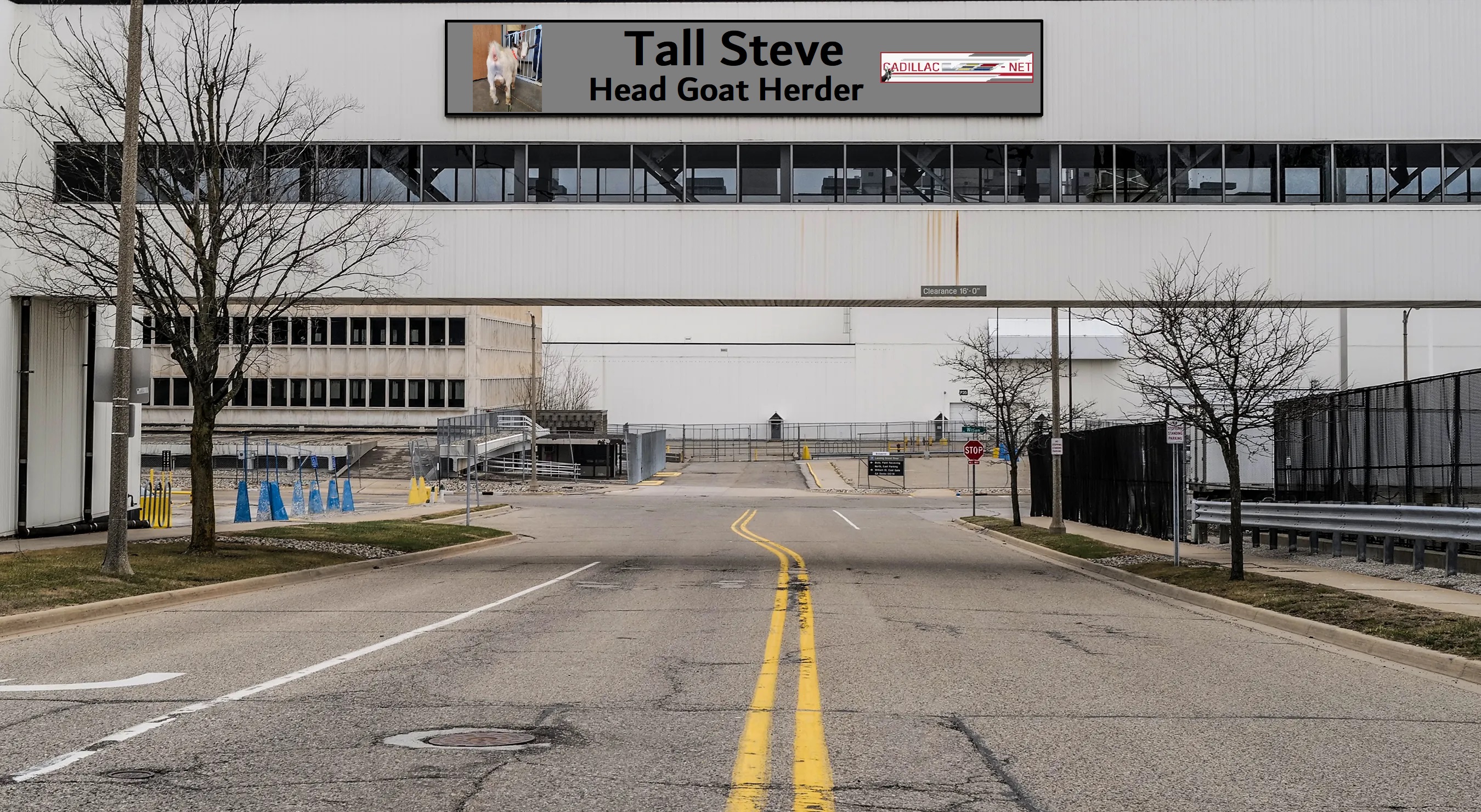 Tall Steve.jpg