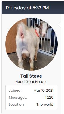 tall-steve.JPG
