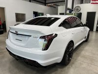 BW PPF REAR.jpg