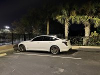 IMG_1670[1].JPG