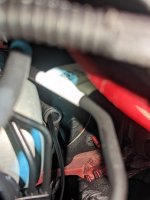 PXL_20221106_201810573.jpg