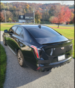Caddy Tint Rear.png