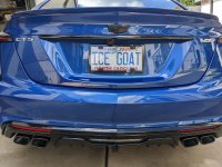 icegoat.jpg