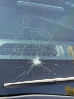 IMG_0847.jpg