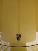 IMG_4305.jpg
