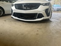 IMG_2933.jpeg