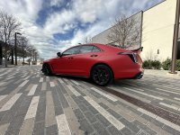 IMG_6558.jpeg