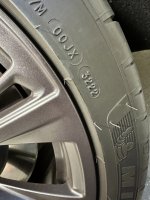 IMG_4928.jpeg