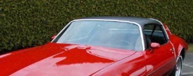 77vinylroof.jpg
