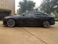 IMG_1043.jpeg