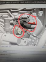 PXL_20240528_152239660.MP~2.jpg