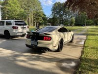 IMG_3505.jpeg