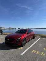 IMG_4253.jpeg