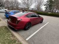 IMG_3388.jpeg